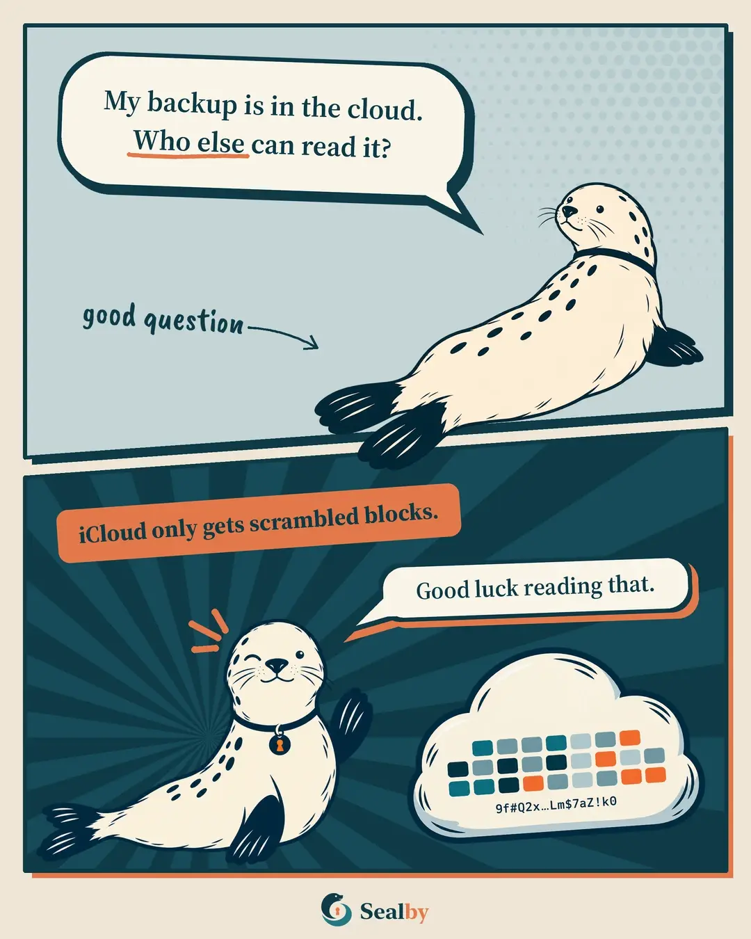 Two-panel comic. A seal lying on its belly asks: "My backup is in the cloud. Who else can read it?" A handwritten note says "good question". Below, a label reads "iCloud only gets scrambled blocks." The seal winks and says "Good luck reading that." next to a cloud full of scrambled colored blocks and random characters.