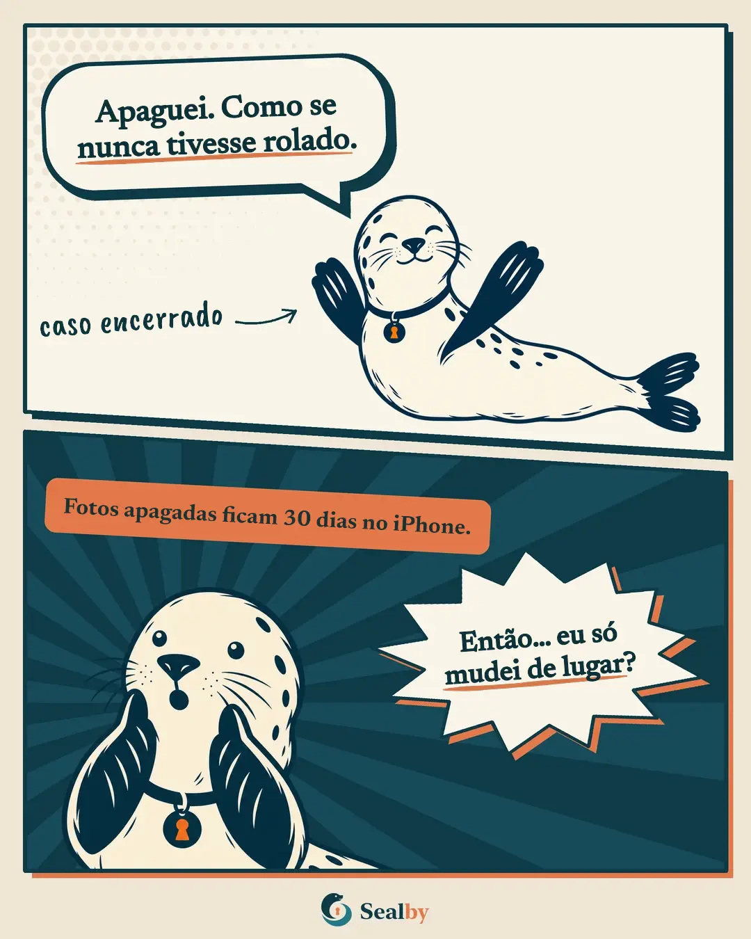Quadrinho do Sealby sobre fotos que ficam em Apagados por trinta dias.